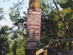 -重庆雨台山风景区