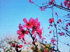 -纪念孙中山市政公园