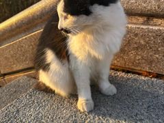 -六鼎山文化旅游区