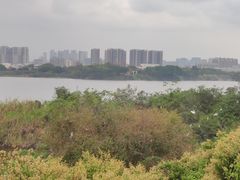 -立新湖公园
