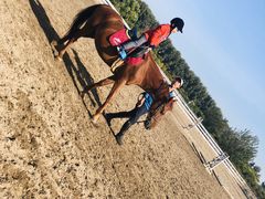 -卓悦童国际幼儿园