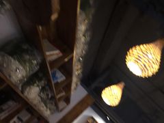 -猫山王创意蛋糕店(东城万达店)