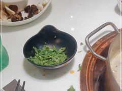 -洪氏嗨捞·猪肚鸡火锅(阳光天地店)