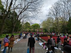 -人民公园-相亲角