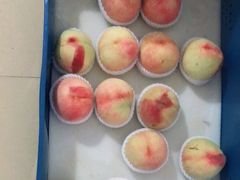 -老袁家蜜桃农场·阳山水蜜桃