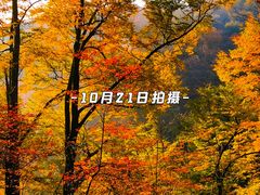 -光雾山旅游景区