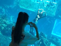 -海棠湾洲际-涛·海底餐厅·美人鱼·自助餐·海底隧道