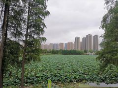 -武汉动物园