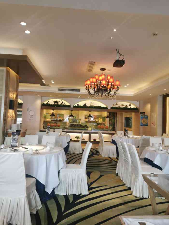 悦景酒家(罗湖店)-"✧( ु•⌄• )◞悦景酒家◟( •