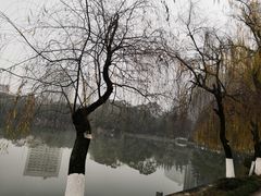 -西南交通大学(九里校区)