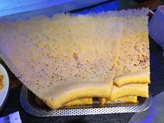 -挂雪铁锅炖大鹅