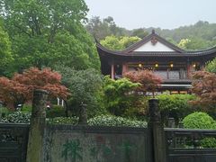 -十八棵（老龙井）御茶园(老龙井店)