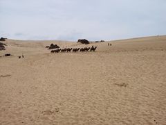 -玉龙沙湖景区
