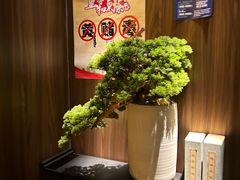 -江南足纪·影院足道·轻奢SPA(笋岗HALO广场店)