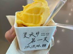 -野人先生现做冰淇淋(北京王府井东方新天地店)
