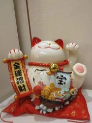 -茜尔维亚修身连锁(杨浦五角场店)