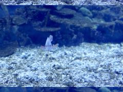 -海合安武汉极地海洋公园