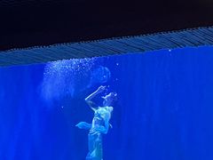 -华夏文旅海洋公园