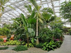-北京植物园-展览温室