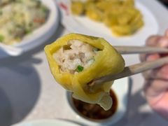 船歌黄花鱼水饺-船歌鱼水饺(高新园区店)