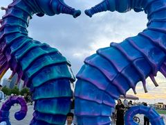 -东港音乐喷泉广场