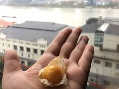 -上海外滩茂悦大酒店