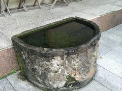 -金花茶公园