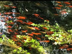 -水磨沟公园