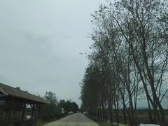 -漩门湾国家湿地公园