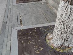 -鸣鹤古镇