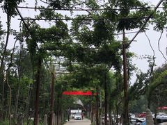 -西安关中民俗艺术博物院