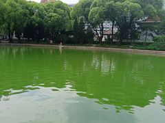 -团结湖公园
