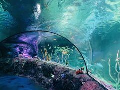 -沈阳海洋探索中心