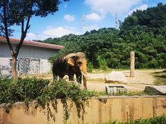 -宁波野生动物园
