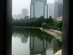 -团结湖公园