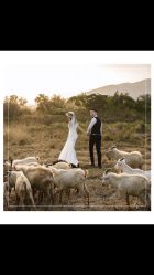 -花漾摄影优选工作室(东莞原创作品店)