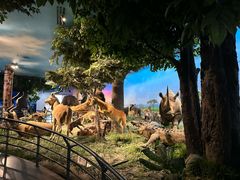 -国家自然博物馆