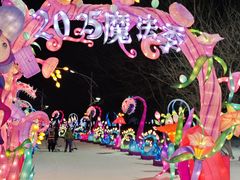 -沈阳奥体冰雪嘉年华