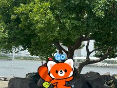 -台场海滨公园船码头