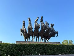 -洛阳周王城天子驾六博物馆