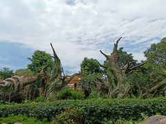 -七彩云南欢乐世界