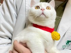 -安安宠医·安宠宠物医院