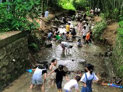 -田心森林公园