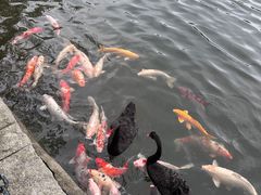 -茵特拉根酒店·西餐厅