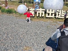 -天津东丽湖风景区