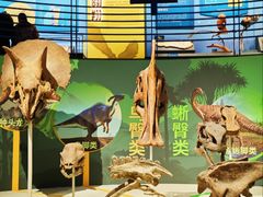 -国家自然博物馆