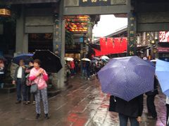 -颜氏双江清水鱼一养身火锅(磁器口店)
