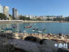 -Big Bus Tours 敞篷观光巴士