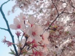 -帝京日语(春熙路旗舰校区)
