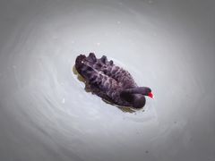 -北京麋鹿生态实验中心